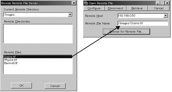images\ebx_1949596591.gif