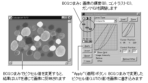 images\ebx_1959673092.gif