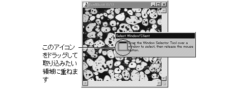 images\ebx_2146068979.gif