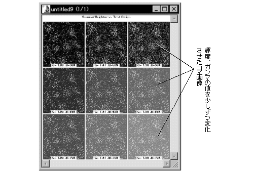 images\ebx_33498340.gif