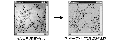 images\ebx_362749938.gif
