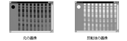 images\ebx_370287902.gif