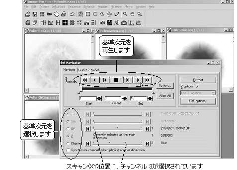images\ebx_415519956.gif