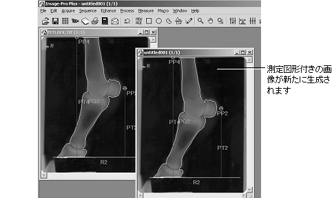 images\ebx_481008913.gif