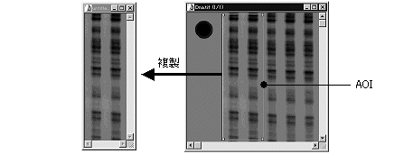 images\ebx_504511320.gif