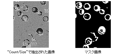 images\ebx_525070649.gif