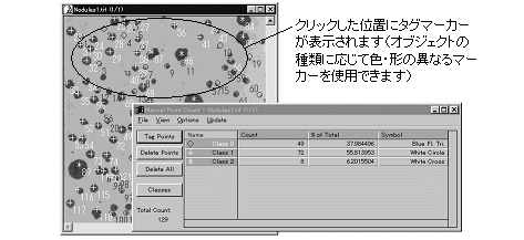 images\ebx_546171828.gif