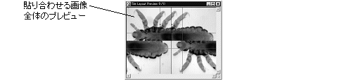 images\ebx_557109078.gif