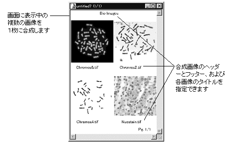 images\ebx_5577791.gif
