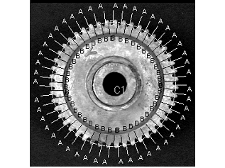 images\ebx_62723693.gif