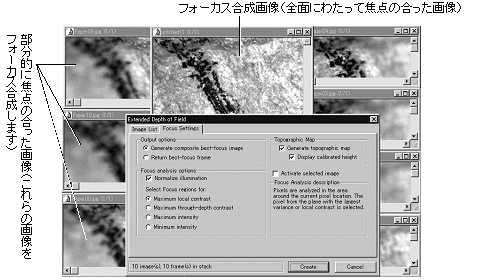 images\ebx_669314972.gif