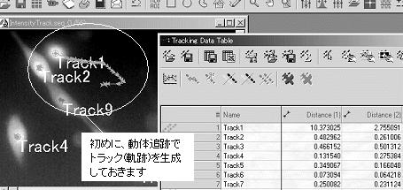 images\ebx_742205876.gif