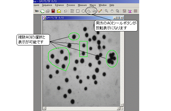 images\ebx_761181229.gif