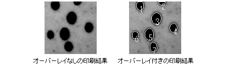 images\ebx_788352428.gif