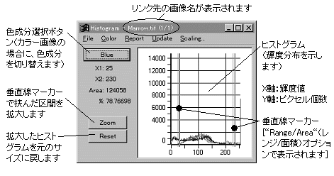 images\ebx_791494910.gif