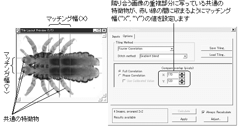 images\ebx_827734935.gif