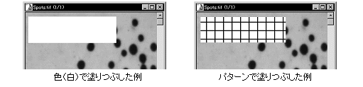 images\ebx_862843630.gif