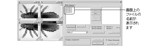 images\ebx_867766559.gif