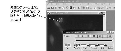 images\ebx_870829778.gif