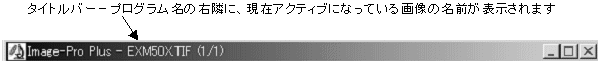 images\ebx_938112302.gif