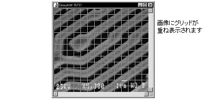 images\ebx_948005665.gif