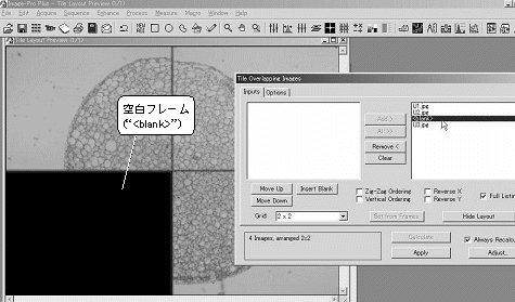 images\ebx_970987866.gif