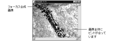 images\img00006.gif