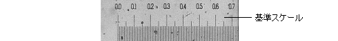 images\img00016.gif