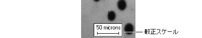 images\img00044.gif