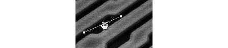 images\img00077.gif