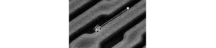 images\img00078.gif