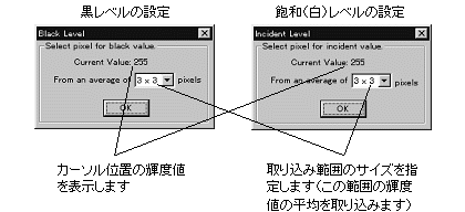 images\img00096.gif