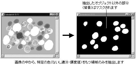 images\img00213.gif