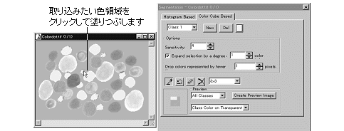 images\img00214.gif