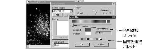 images\img00245.gif